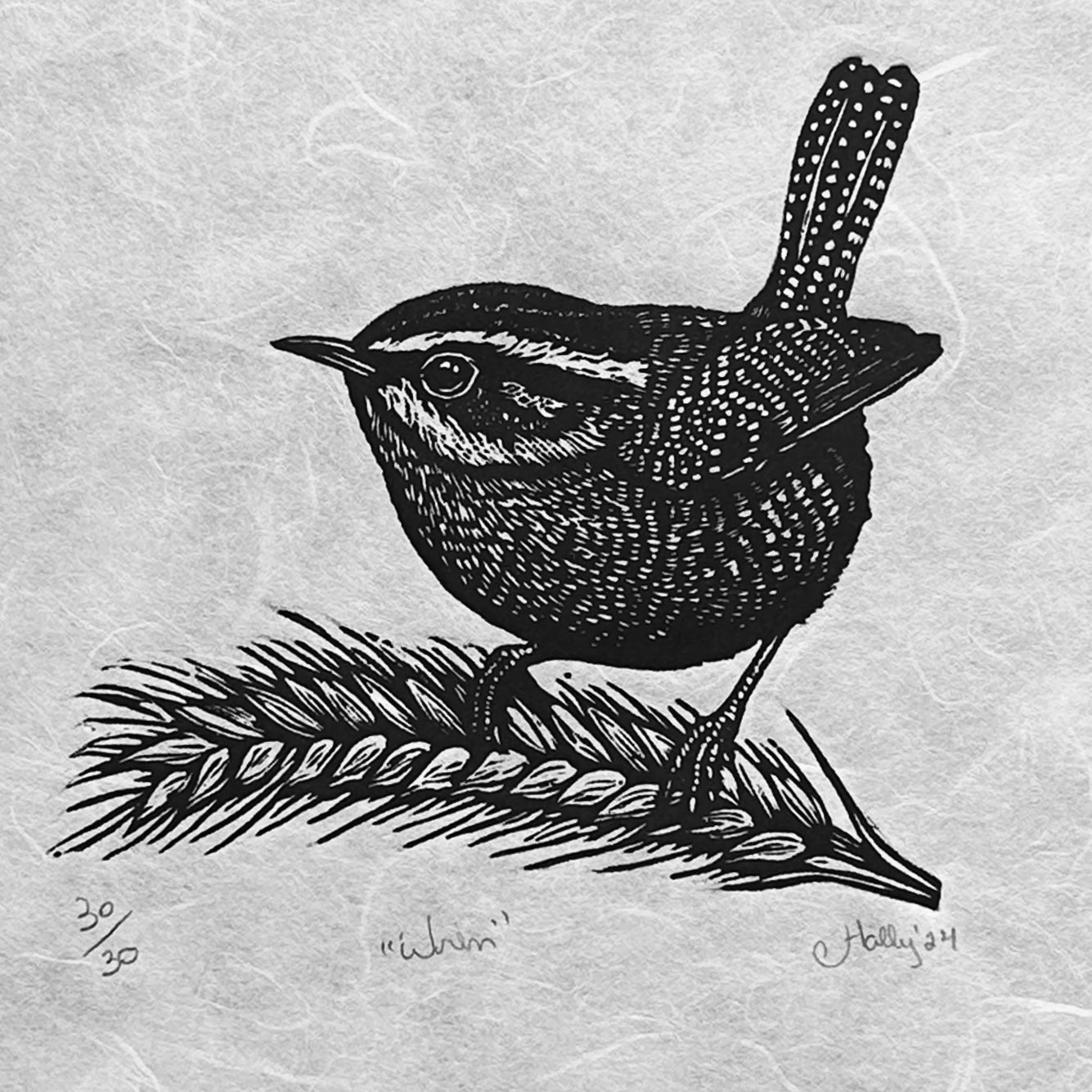 A sweet black-and-white image of a wren, one of Britain's smallest birds, perched on an ear of wheat. The perfect gift for bird lovers.